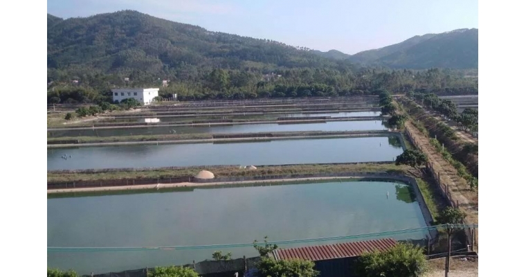 現(xiàn)在水產(chǎn)養(yǎng)殖動物種類越來越多，對于水質(zhì)的要求也各有不同